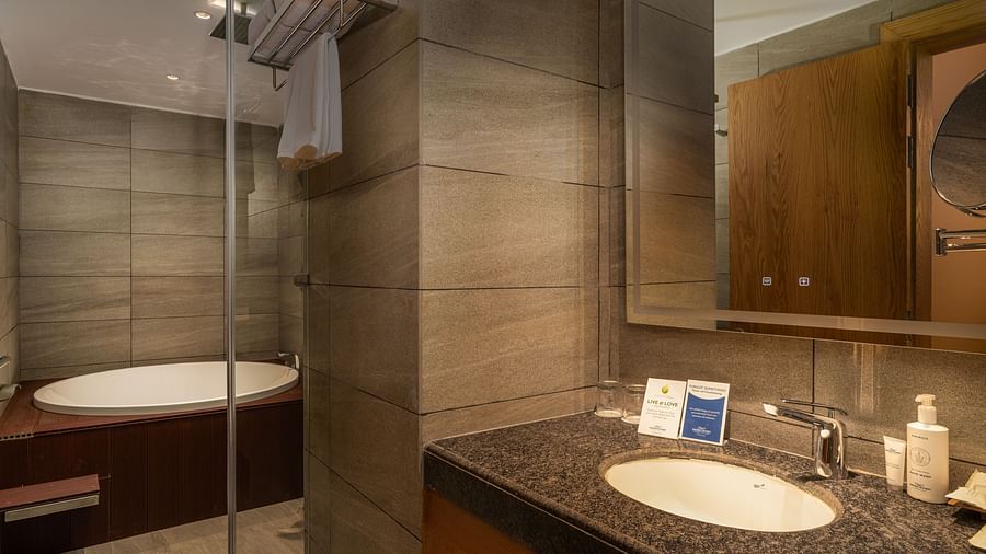 A bathroom with a wall-mounted mirror, a large sink and a shower cubicle - Sarovar Premiere, Srinagar